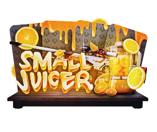 Small Juicer - CS2 case